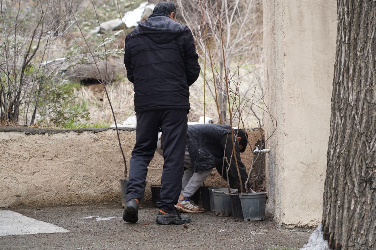 پژوهشگاه قوه قضاییه