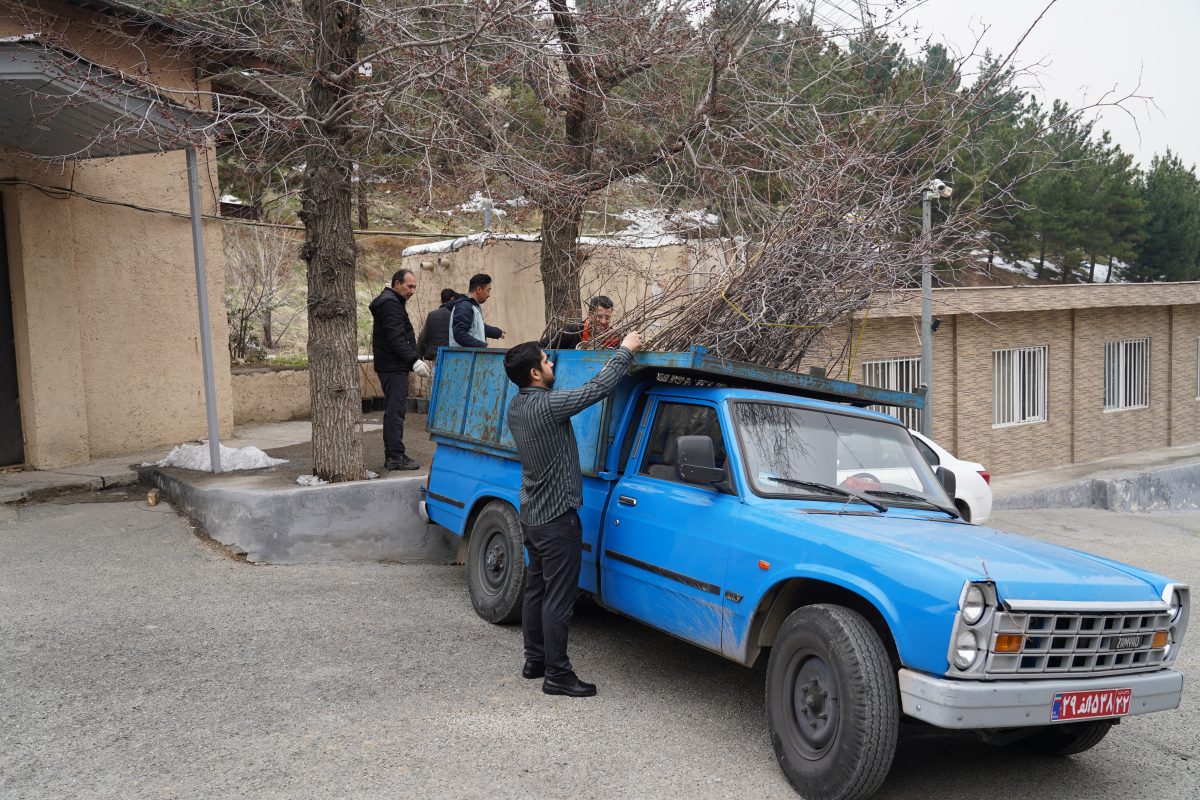 پژوهشگاه قوه قضاییه