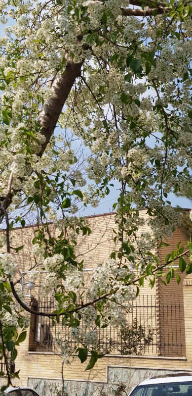 پژوهشگاه قوه قضاییه